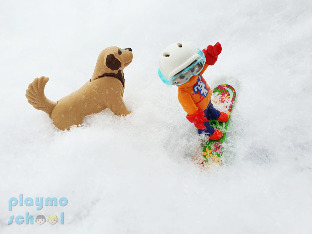 Fotografía de Invierno