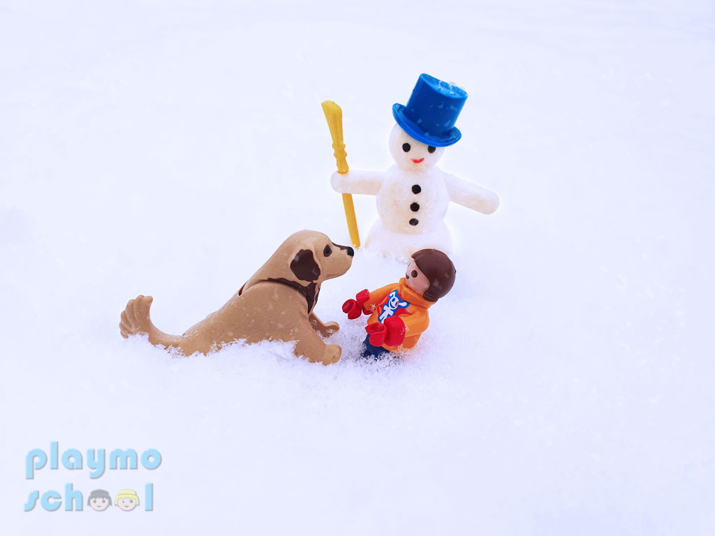 Fotografía de Invierno